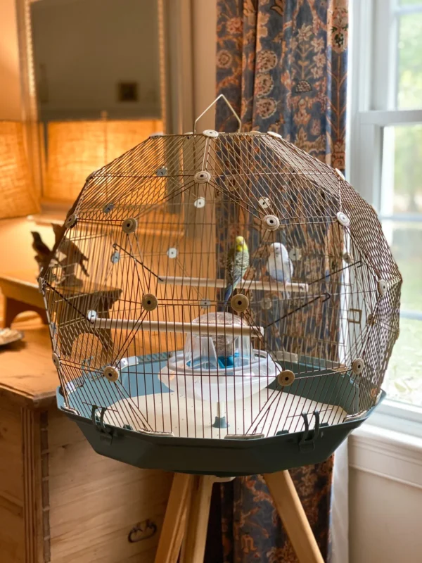 Geo Bird Cage – The Parakeets Get a New Home - Image 4