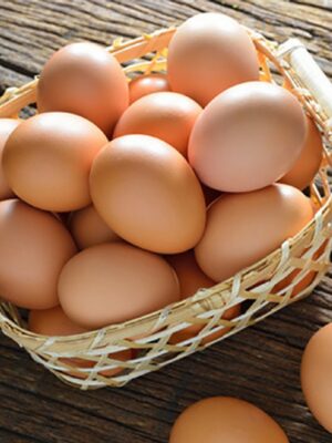 Farm Fresh Eggs