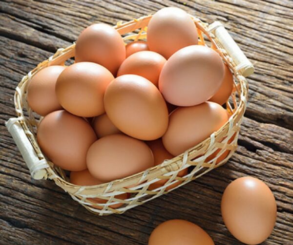 Farm Fresh Eggs