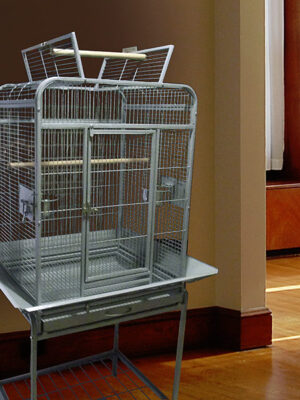Small Bird Cage