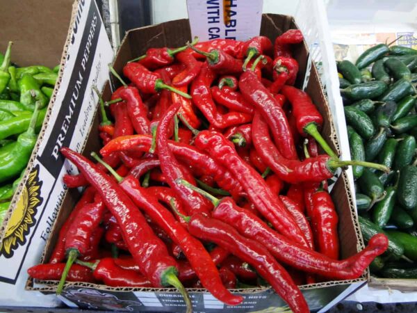 Handpicked Red Chillies (Copy)